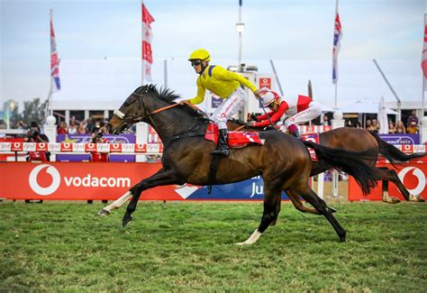 hollywoodbets results|Horse Racing Results .